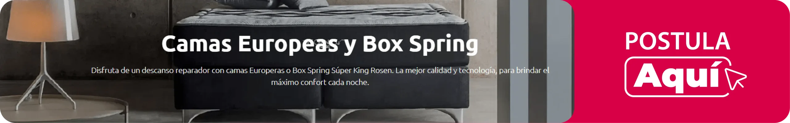 Práctica Rosen