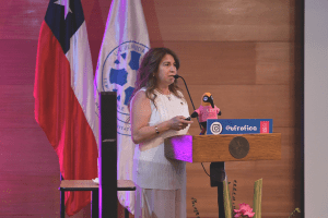 FICA UFRO da cuenta de los avances de la implementación curricular de las Ingeniería Civiles