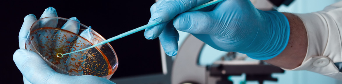 banner metabolomica