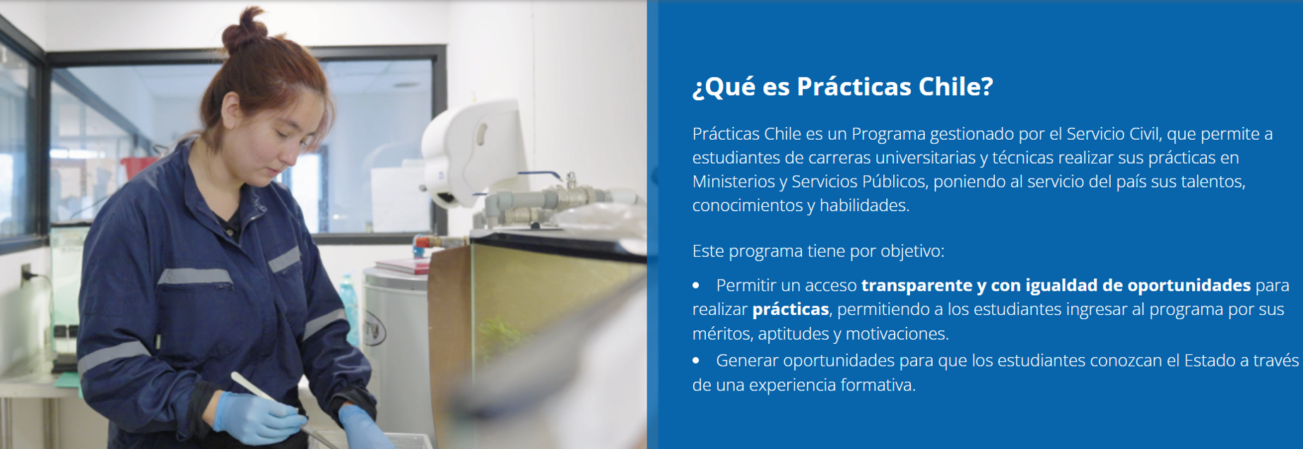 banner practicas chile