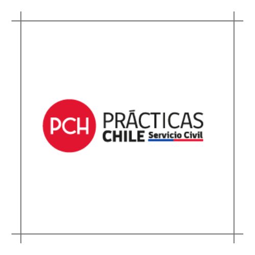 Prácticas Chile