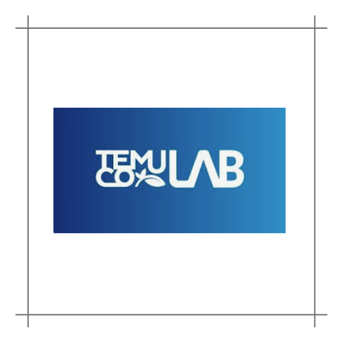 Coordinador Tecnológico – Temuco Lab