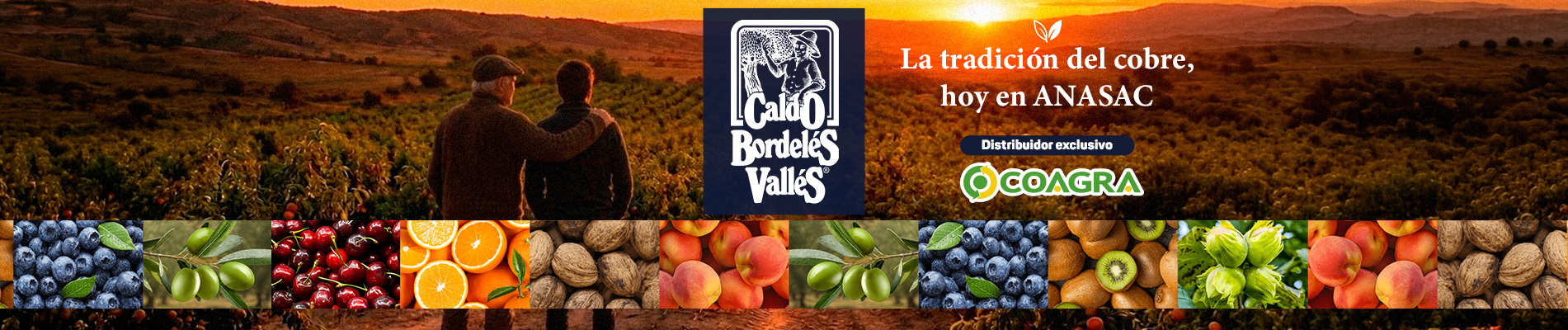 banner-sitio-anasac-1900x400-CALDO-BORDELES-VALLES-mix