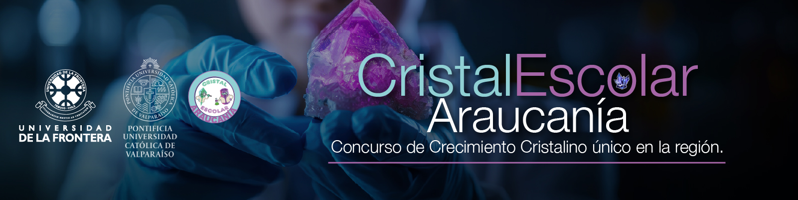 Banner CristalEscolar